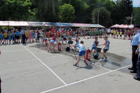 IMG 5195